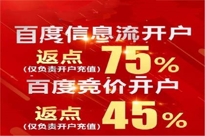 百度推广平台：从传统到数字营销的转型案例